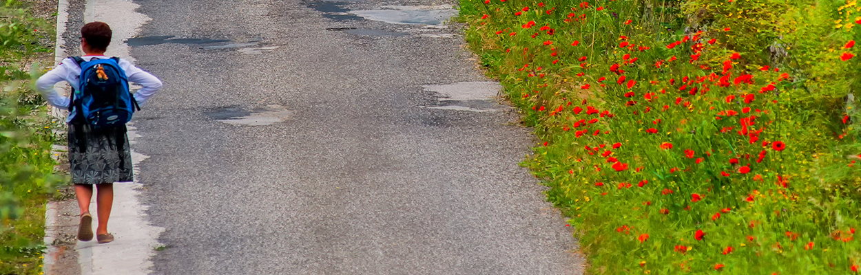 Passeggiando in campagna.jpg